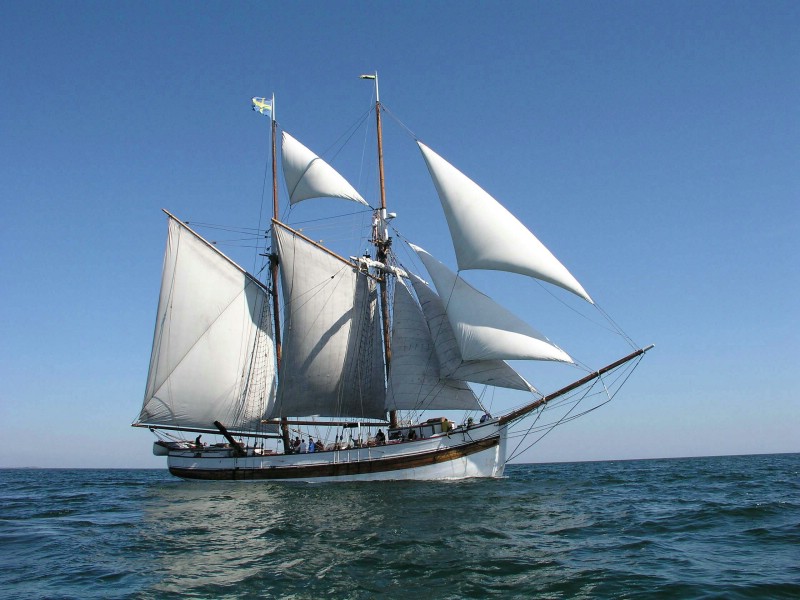 Linnea är ett tvåmastat segelfartyg. De vita seglen är satta eftersom fartyget är ute till sjöss.  Överst syns även svenska flaggan. Hennes skrov är vitt och i fören syns ett långt bogspröt.