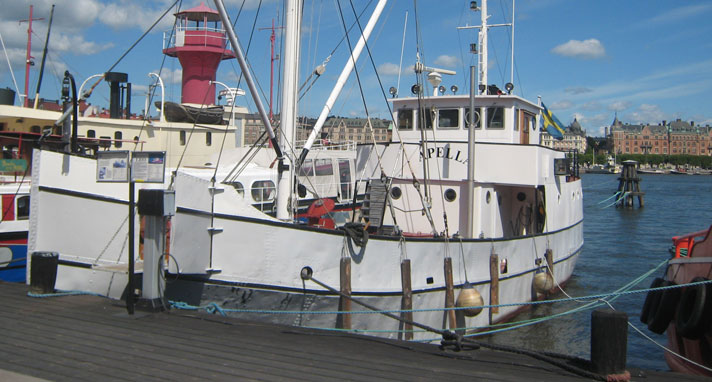 Capella är ett vitmålat lastfartyg. Från fören till överbyggnaden är fartyget öppet där lastluckor funnits. Fartyget ligger förtöjt vid en kaj på Skeppsholmen i Stockholm. I fören skymtar en mast med lastbommar, akterut finns en överbyggnad med styrhytt ovanpå. 