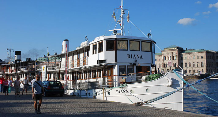 Diana är ett passagerarfartyg med två däck. Hon är vit med trädetaljer och har ett soldäck i aktern på översta däcket. På fotot ligger fartyget vid Skeppsbrons kaj i Stockholm. I bakgrunden till höger syns Nationalmuseum.  