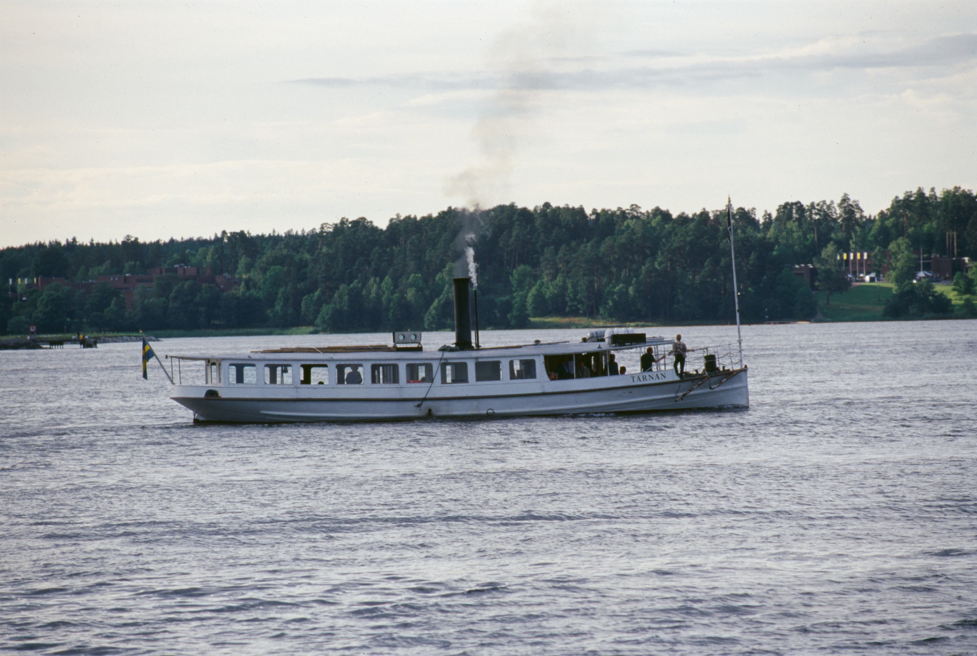 Tärnan är en vitmålad passagerarångslup. Större delen av överbyggnaden består av en salong. Ur den svarta skorstenen som sticker upp på mitten av fartyget stiger ljusgrå rök. Längst fram finns ett fördäck. På bilden är fartyget ute och kör i Stockholms skärgård. 