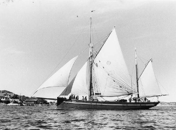 Gratitude är ett tvåmastat segelfartyg med fyra vita segel satta från bogspröt till aktermast. Hon har ett mörkt skrov med en vit horisontell linje längsmed hela fartyget. På det svartvita fotografiet befinner sig Gratitude i en skärgårdsmiljö på Västkusten. Till vänster syns ett par trähus. 