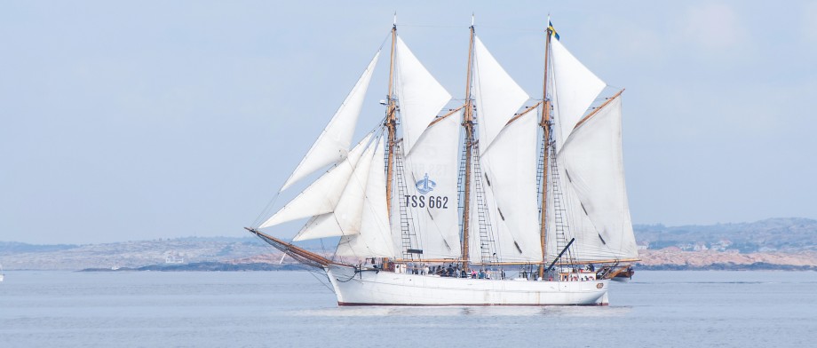 Ingo är ett segelfartyg, en skonare med tre master. På bilden är alla de vita seglen satta. Ingo har vitmålat skrov och ett kraftfullt bogspröt i trä.