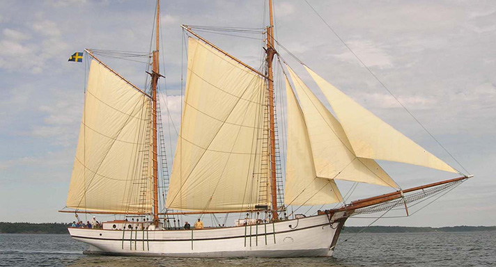 Mina är ett tvåmastat segelfartyg. På bilden är de ljusgula seglen satta. Hennes skrov är vitmålat och master bommar och bogspröt är i ljusbrunt trä. Längst bak i riggen sitter en svensk flagga.