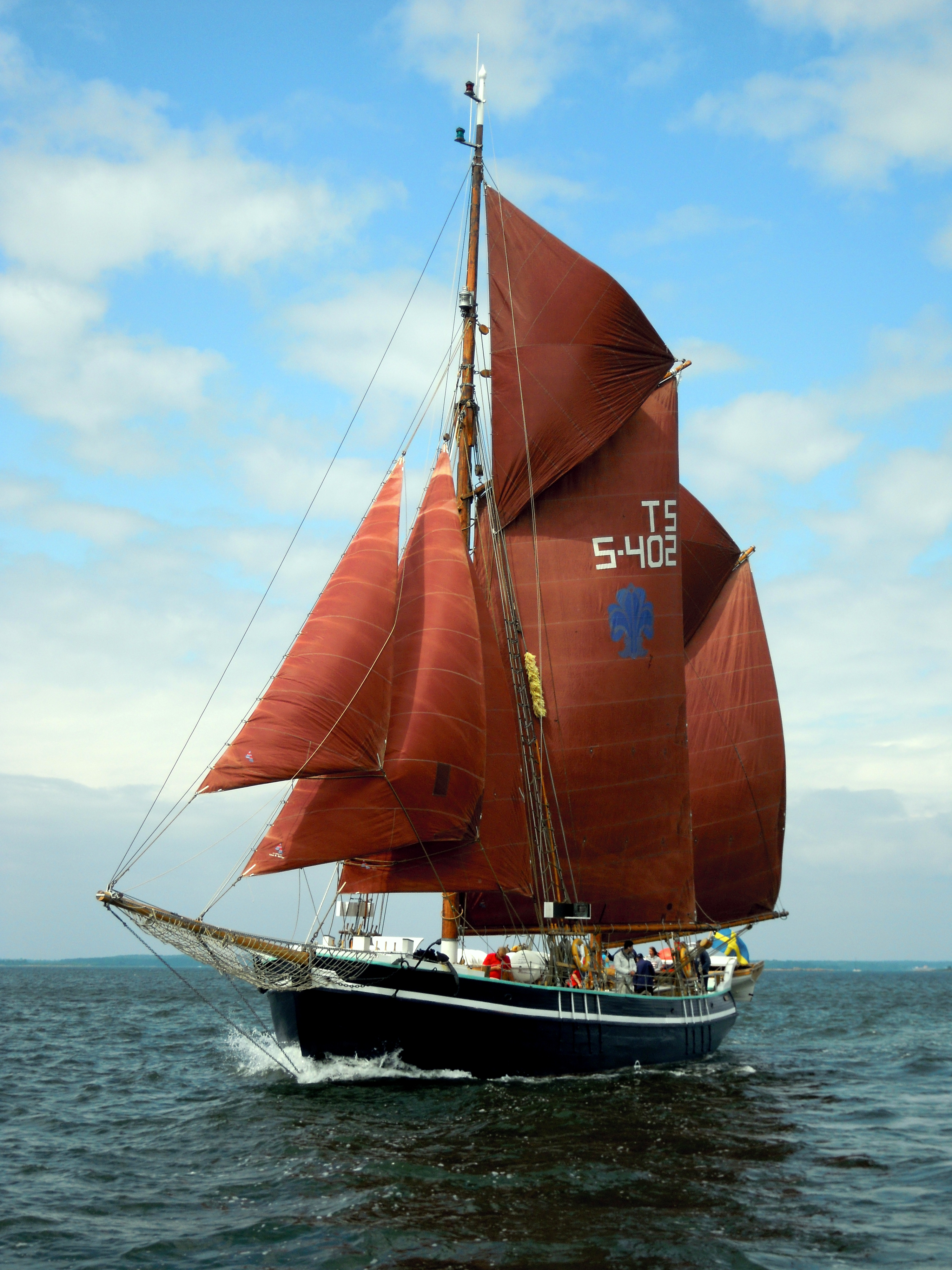 Sarpen är ett tvåmastat segelfartyg med rödbruna segel. Fartyget har svartmålat skrov, medan master och bogspröt är i ljusbrunt trä. På bilden är seglen satta och fartyget stävar framåt till havs. 