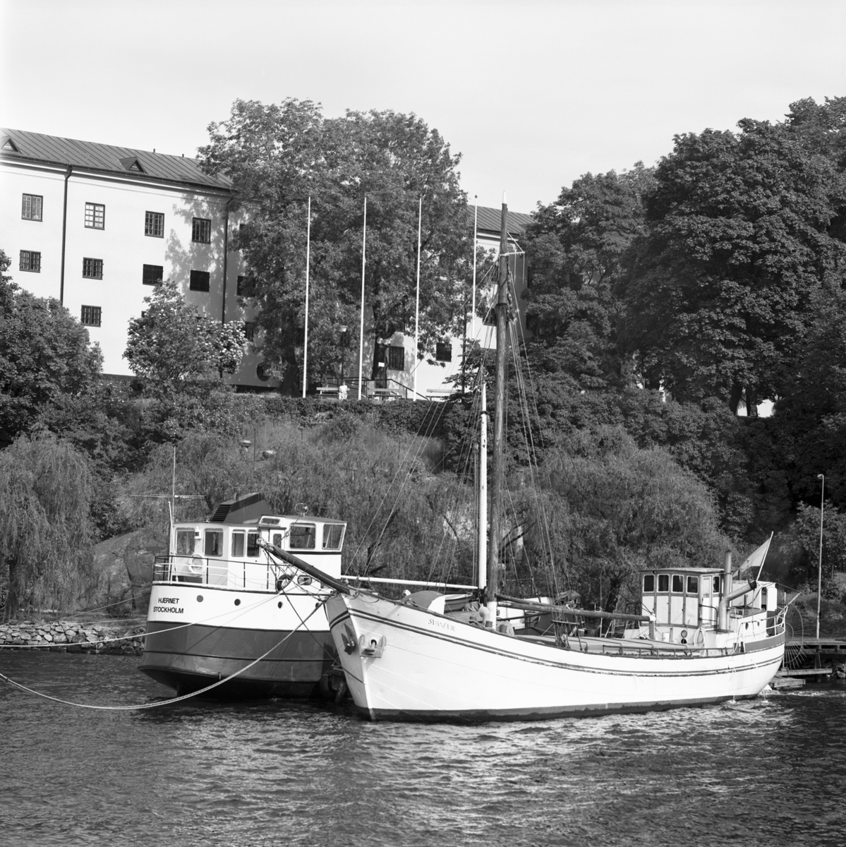 Svanevik är ett vitmålat segelfartyg som idag saknar mycket av sin rigg. Bogspröt och en lägre mast med lastbom är det som syns ombord. I aktern finns en styrhytt med skorsten från den tändkulemotor som fartyget har. På den svartvita bilden ligger fartyget vid Skeppsholmen i centrala Stockholm.  